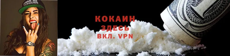 omg как войти  Болотное  COCAIN Fish Scale 